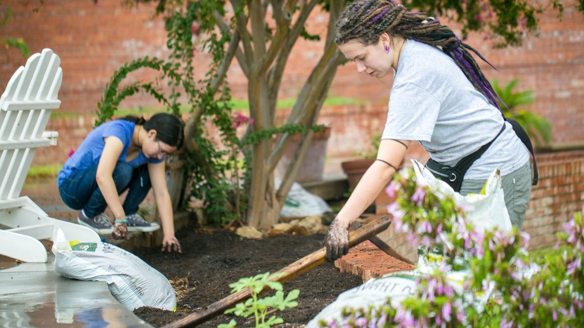 两个女学生打扫社区花园床